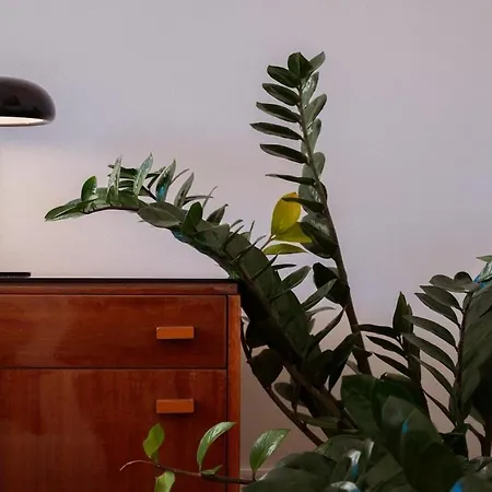 Charming Train Lines *