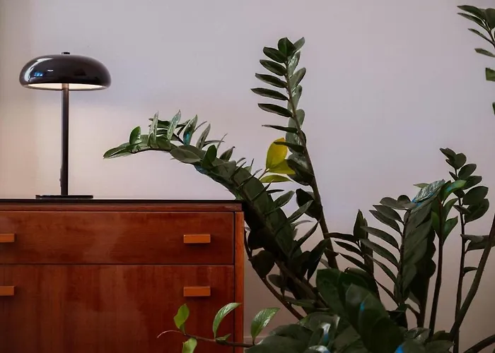 Charming Train Lines *