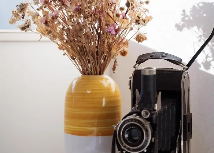 Charming Train Lines Appartement